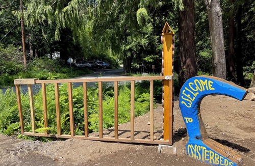 Lund Cabin | 4 Coastal Cabins & 2 bedroom suite for exploring the Sunshine Coast of BC