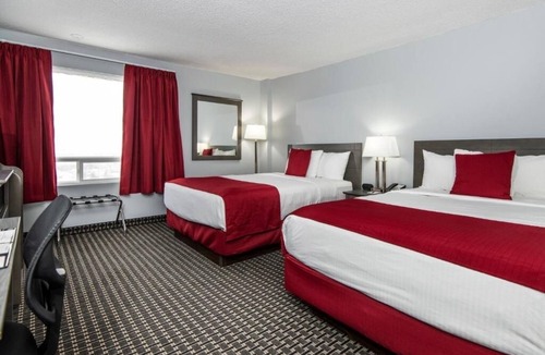 Grande Prairie Hotel | 4 Spacious Rooms Near Philip J Currie Dinosaur Museum, Just 20 Min Away