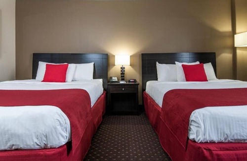 Grande Prairie Hotel | 4 Spacious Rooms Near Philip J Currie Dinosaur Museum, Just 20 Min Away