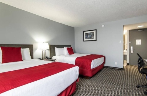 Grande Prairie Hotel | 4 Spacious Rooms Near Philip J Currie Dinosaur Museum, Just 20 Min Away