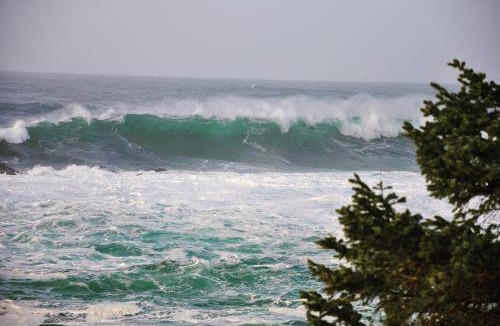 Ucluelet Bed & Breakfast | 46 m² Bed and breakfast ∙ 2 guests