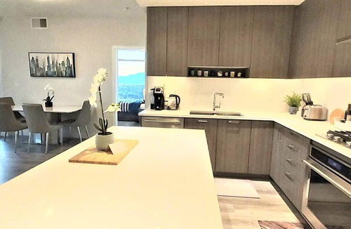 Burnaby Condo | 5 Star Luxury 2 Bed 2 Bath Condo in Brentwood