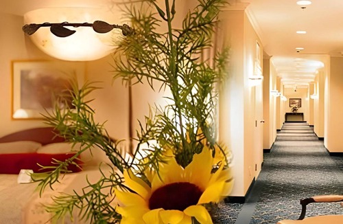 Quartier des Spectacles Hotel | 50 m² Hotel ∙ 127 guests