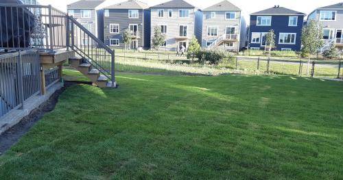 Northwest Calgary Apartment | 75 m² Apartment ∙ 1 bedroom ∙ 4 guests