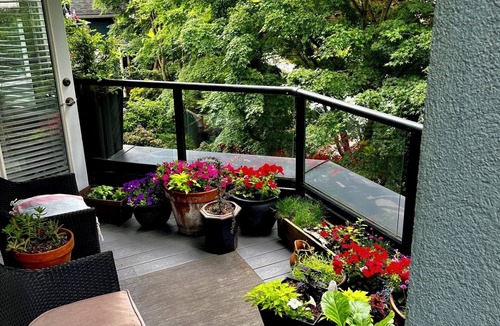 Kitsilano Apartment | A fantastic, quiet, south facing sunny 1 bedroom apartment in Kits, Vancouvernnn