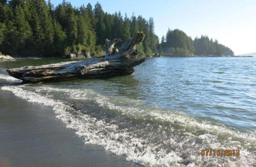 Port Renfrew Ski Chalet | A Shack In The Woods