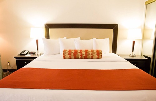Central Hamilton Hotel | Admiral Inn Hamilton