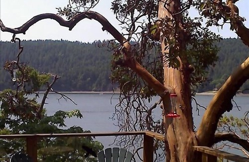 Pender Island Cottage | Ainslie Point Deluxe Waterfront Cottage with Beach and Dock Access