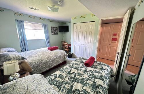 Townline Hill House | Anita's Bed & Breakfast - Bedroom On Ground Floor With Backyard Is Downstairs