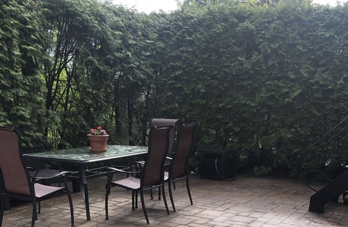 Brossard Apartment | Apartment to rent for summer