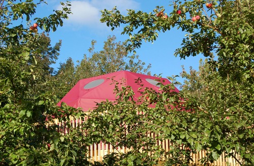 Indian Brook Resort | Apple Dome at Cabot Shores Wilderness Resort