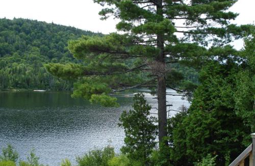 Tadoussac Hotel | Auberge La Tanière