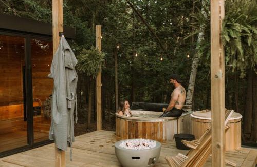 Huntsville House | Aux Box Muskoka Modern Muskoka Bunkie