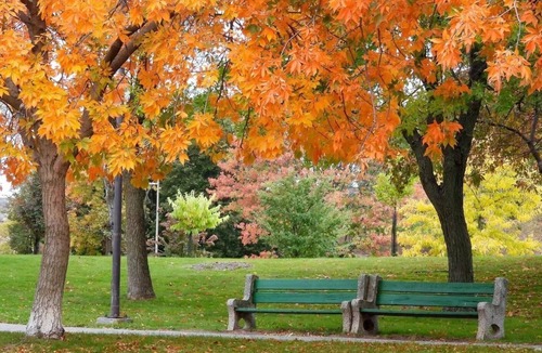 Saint-Bruno-de-Montarville House | Basement Guesthouse near National Park and Montreal
