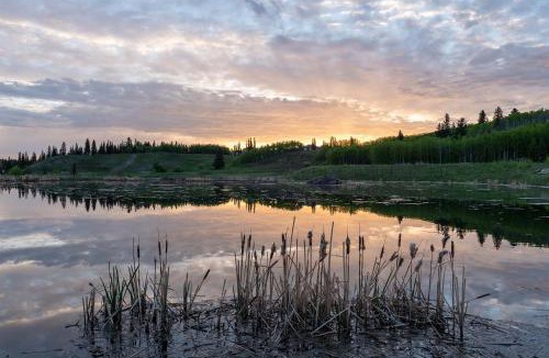 Cranston House | Basement Suite in Calgary - Short Drive to Banff