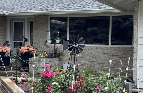 Killarney House | Bayside home with birds, butterflies, deer, and gardens