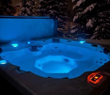 Snow Pine Estates Apartment | Bearcub Chalet