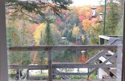 Hastings Highlands Cottage | Beautiful Algonquin Lakefront Cottage Experience