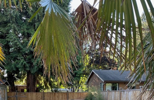 Delta House | Beautifully renovated upper level home.