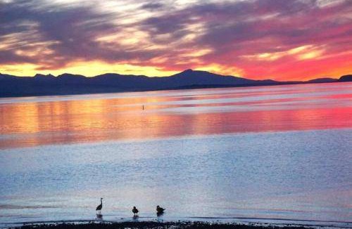 Regional District of Nanaimo Bed & Breakfast | Bed and breakfast ∙ 2 guests