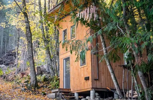 Nelson Cabin | Bees Knees in the Trees Tiny Home - Hot Tub, Sauna & Cold Plunge