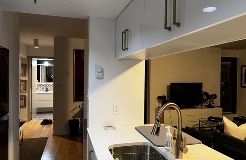 Downtown Vancouver Apartment | Best Downtown Vancouver in the shopping and dining district on Alberni Street