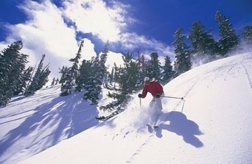 Salt Lake Mountain Resorts Condo | Best Rates at Solitude - 1 BR plus Den
