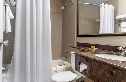 Hull Hotel | Best Western Plus Gatineau-Ottawa Downtown