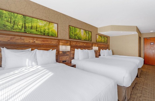 Valemount Hotel | Best Western Plus Valemount Inn & Suites