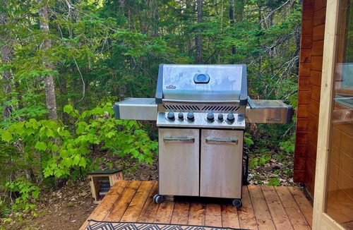 Dingwall Cabin | Big Leo’s River View Cabin