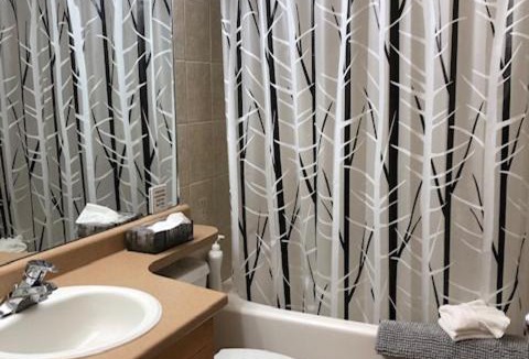 Silver Star Mountain Apartment | Bluebird Lodge