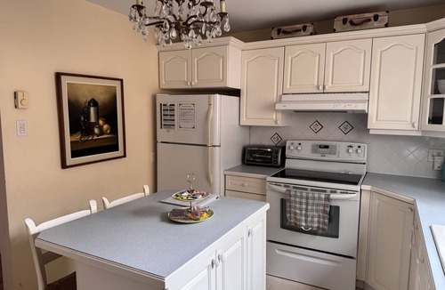 Halifax Apartment | Boutique Style Ambiance Fireplace Minutes To HFX