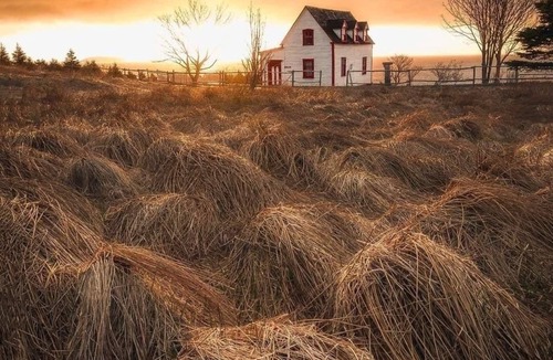Tors Cove Cottage | Breathtaking 3 Acres of Oceanfront - Overlooking the Atlantic Ocean