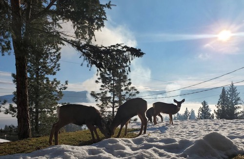 Westshore Estates House | Bright & Spacious Okanagan Lakeview 3 bdrm house.