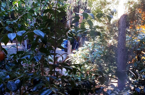 Gulf Islands House | By the Ocean perfect getaway for 2 on Salt Spring Island!