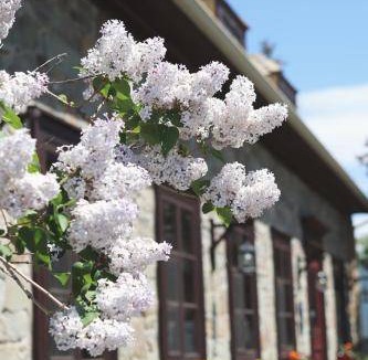 Saint-Pierre-de-l'lle-d'Orleans Bed & Breakfast | 25 m² Bed and breakfast ∙ 2 guests