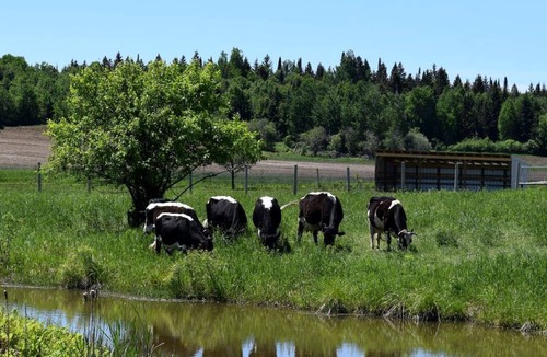Powassan Other | Camping ∙ 1 bedroom ∙ 4 guests