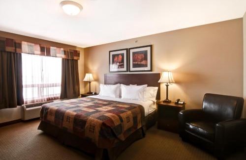 Camrose Hotel | Canalta Camrose