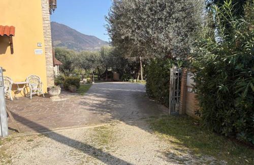 Albettone Ski Chalet | Casa dell'uliveto