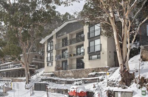 Thredbo Ski Chalet | Celesia 2