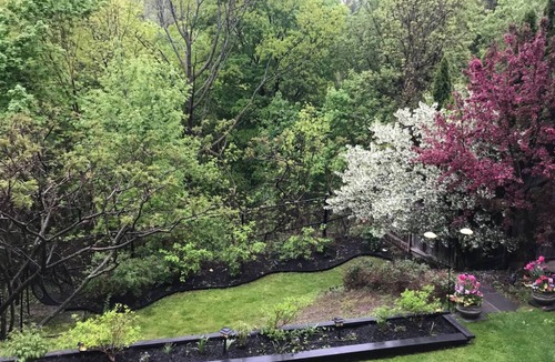 Governor's Bridge House | Central Executive Ravine Home 5+ Bdrms
