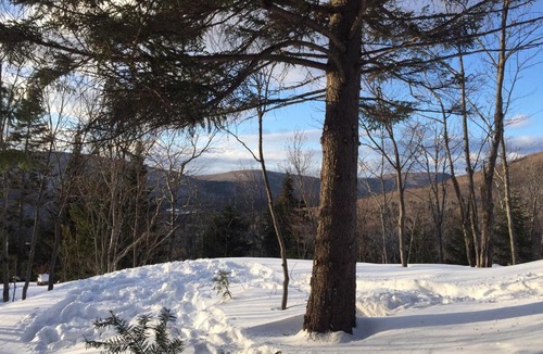Val-des-Lacs Ski Chalet | Chalet Nature Laurentides