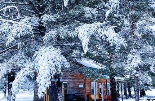 Bromont Resort | Chalets du Domaine Yamaska
