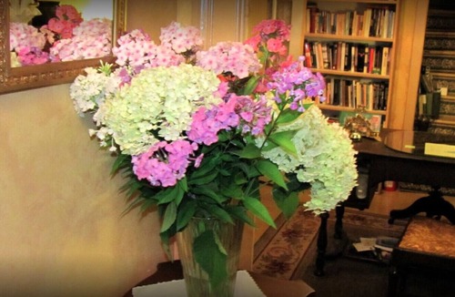 North Sydney Bed & Breakfast | Chambers Guest House B&B - Room 3