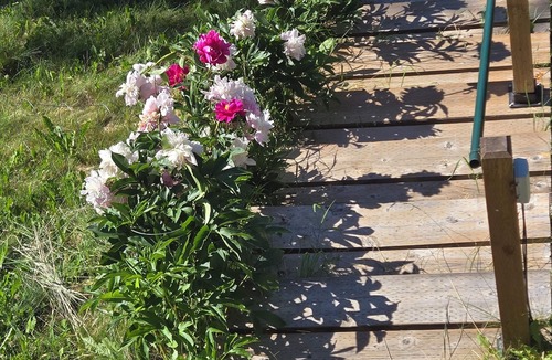 Vanderhoof Apartment | Charming 2-bedroom on Cluculz Lake.