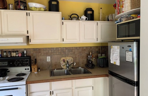 Regional District of Nanaimo Cottage | Charming cottage in beautiful Nanaimo Kitchen AC, WiFi on the Nanaimo River