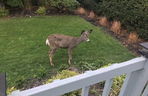 Central Okanagan House | Close to Everything