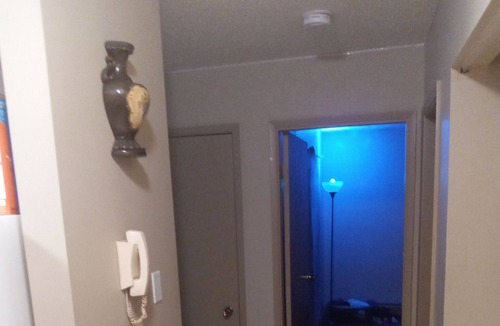 North Central Edmonton Apartment | Come stay here but only up to 3 days .