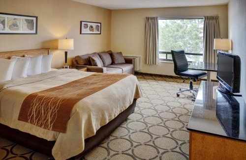 Downtown Gatineau Hotel | Comfort Inn Gatineau