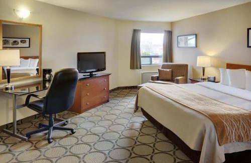 Downtown Gatineau Hotel | Comfort Inn Gatineau